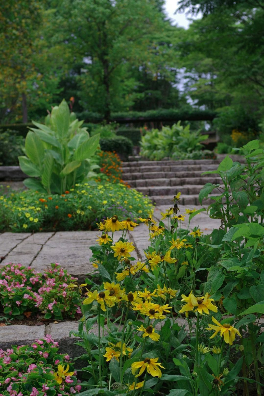 How Regular Garden Maintenance Helps Your Landscape Thrive