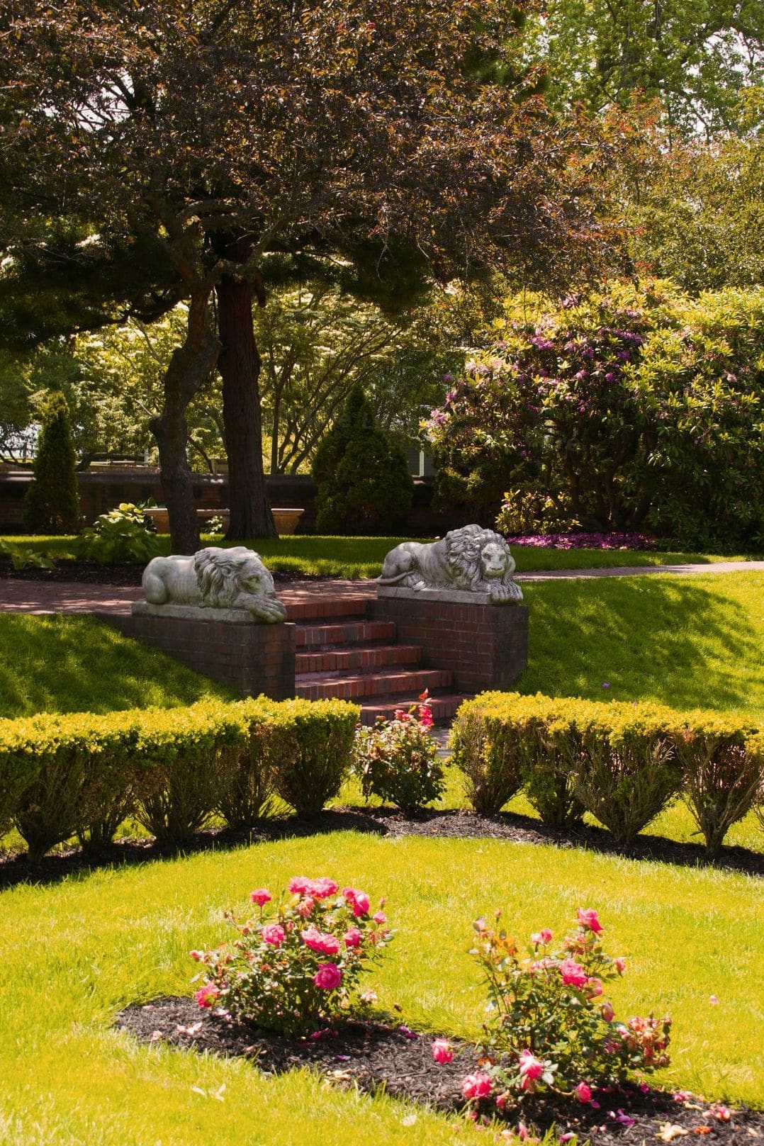 Maple Leaf Garden Care 10