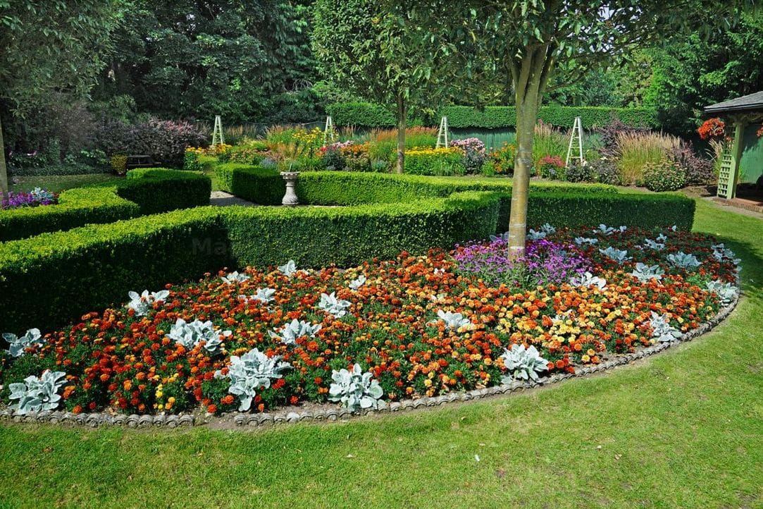 Maple Leaf Garden Care 8