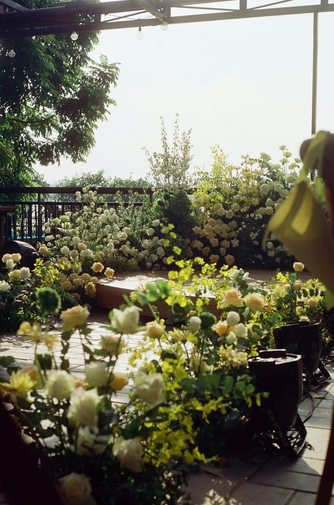 Hands-on garden care