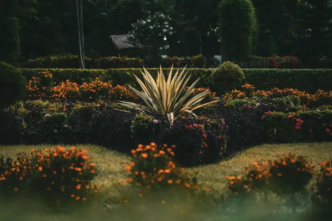 Garden bed design and planting