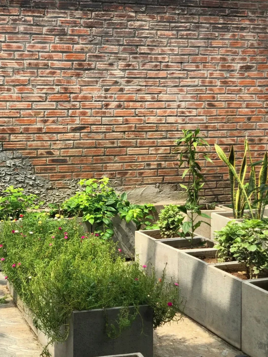 Lawn care and edging