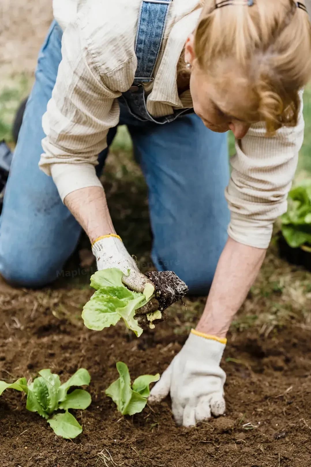 Irrigation system checks and adjustments
